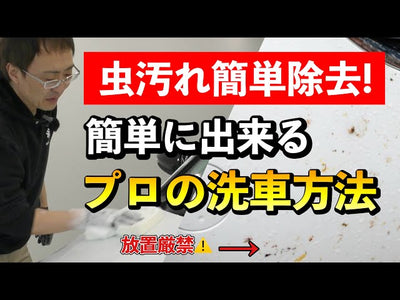 【虫汚れを放置すれば塗装にダメージが！】時間をかけずに車についた虫汚れを洗車のプロが落とします【初心者でも簡単】