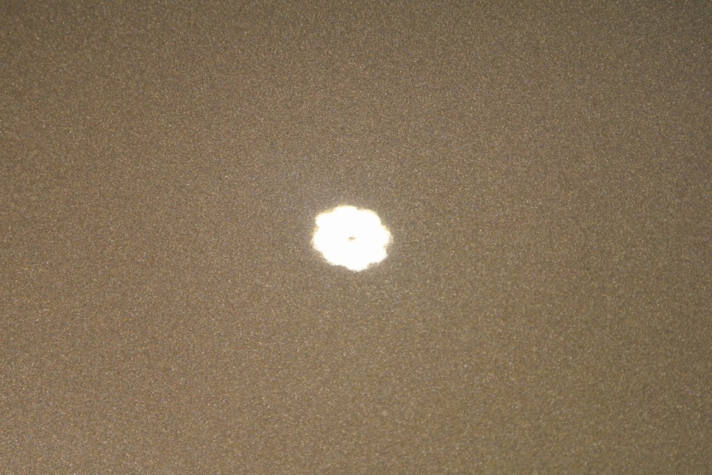 DSC_4231